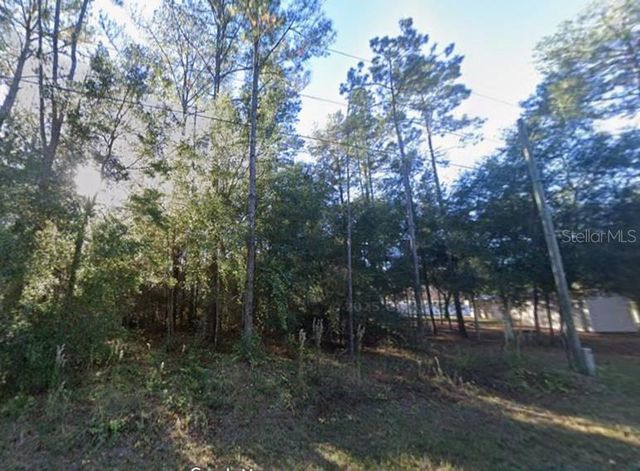 Lot 26 GUAVA PASS DRIVE, Ocklawaha, FL 32179