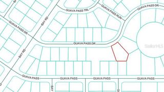 Lot 26 GUAVA PASS DRIVE, Ocklawaha, FL 32179