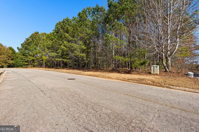 2501 Lake Erma Drive, Hampton, GA 30228