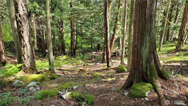 0 Lot 2 Harborview Lane, Orcas Island, WA 98243