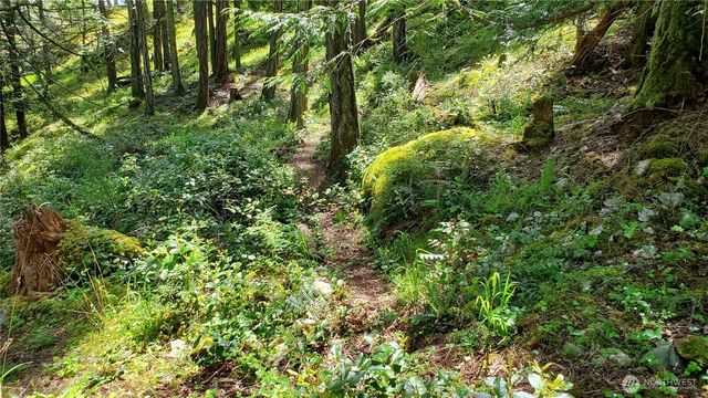 0 Lot 2 Harborview Lane, Orcas Island, WA 98243