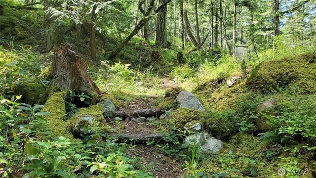 0 Lot 2 Harborview Lane, Orcas Island, WA 98243