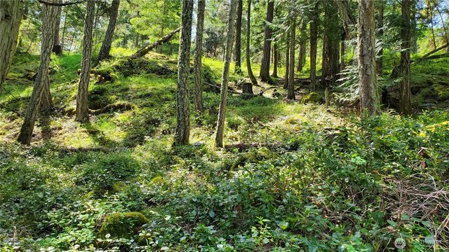 0 Lot 2 Harborview Lane, Orcas Island, WA 98243