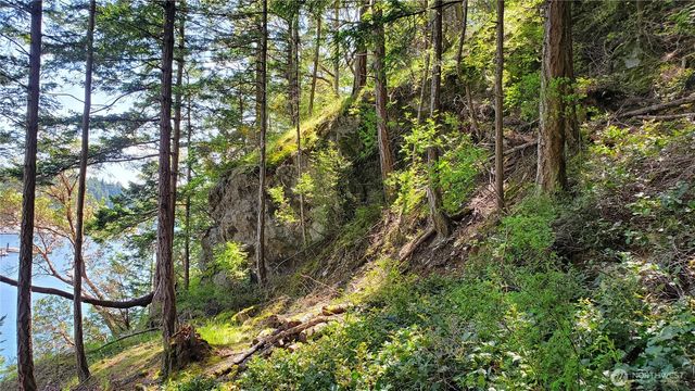 0 Lot 2 Harborview Lane, Orcas Island, WA 98243