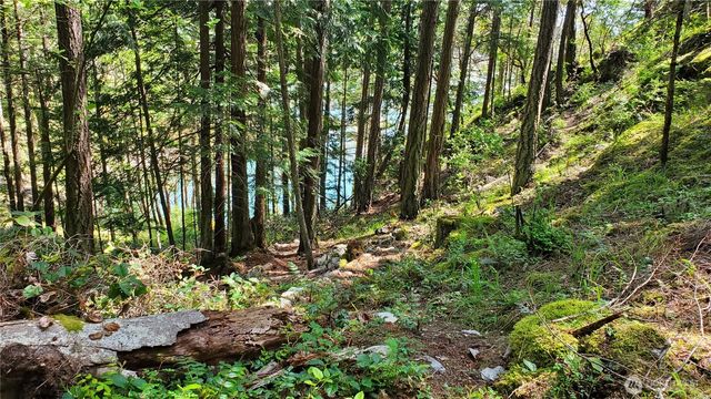 0 Lot 2 Harborview Lane, Orcas Island, WA 98243