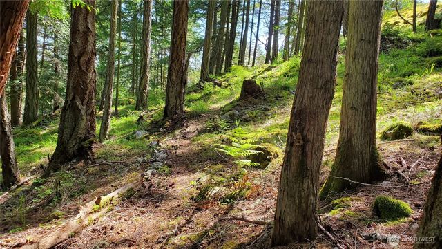 0 Lot 2 Harborview Lane, Orcas Island, WA 98243