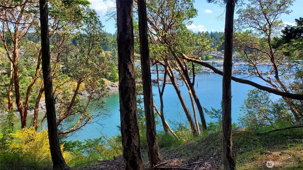 0 Lot 2 Harborview Lane, Orcas Island, WA 98243