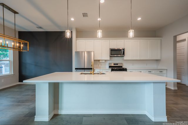 29203 Cheyenne Rdg, Boerne, TX 78015