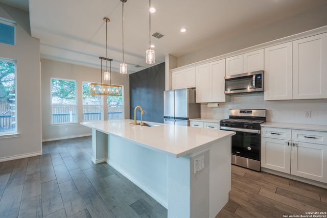 29203 Cheyenne Rdg, Boerne, TX 78015