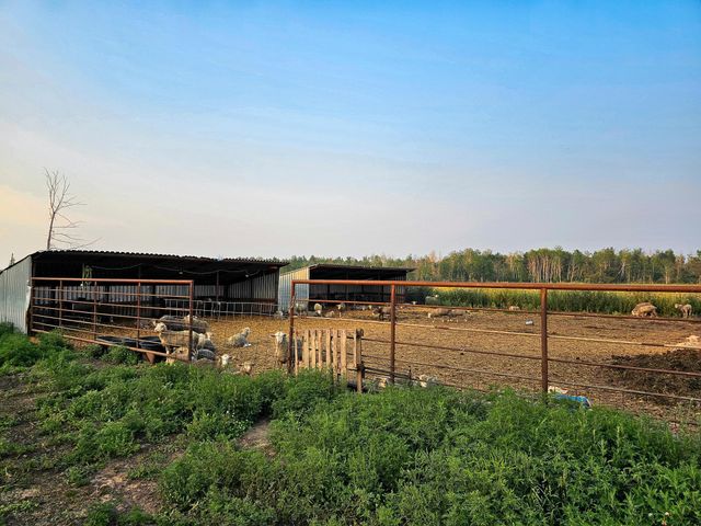 17430 280th St, Sebeka, MN 56477