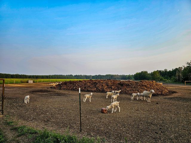 17430 280th St, Sebeka, MN 56477