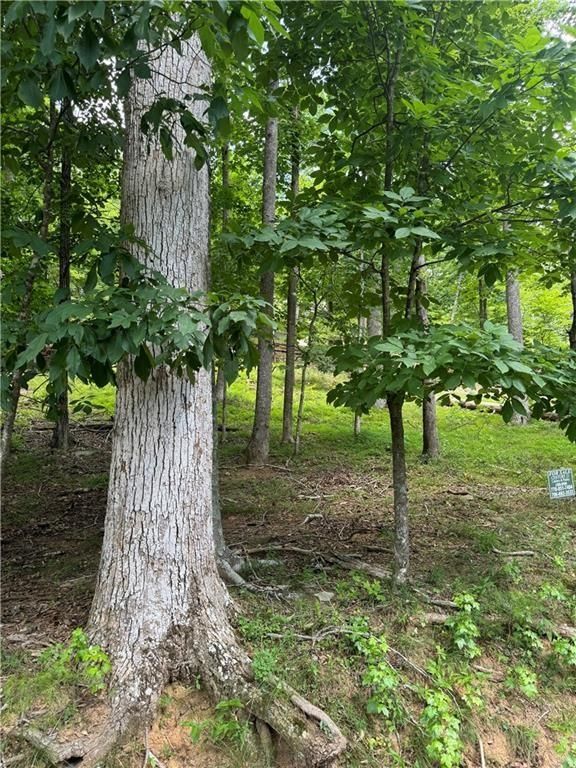830 N Duffer Drive, Jasper, GA 30143