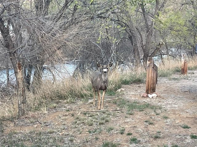 20163 US HWY 50, Cotopaxi, CO 81223