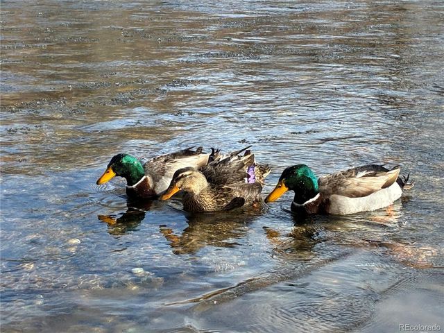 20163 US HWY 50, Cotopaxi, CO 81223