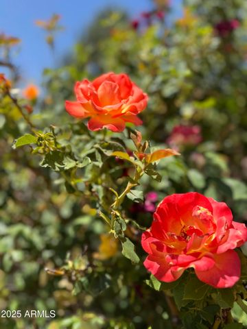 2404 W PALMER Drive, Payson, AZ 85541