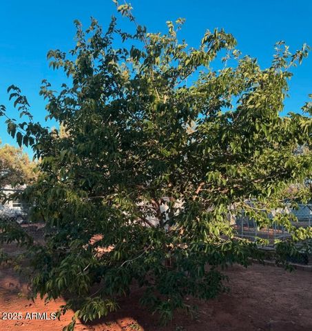 2404 W PALMER Drive, Payson, AZ 85541
