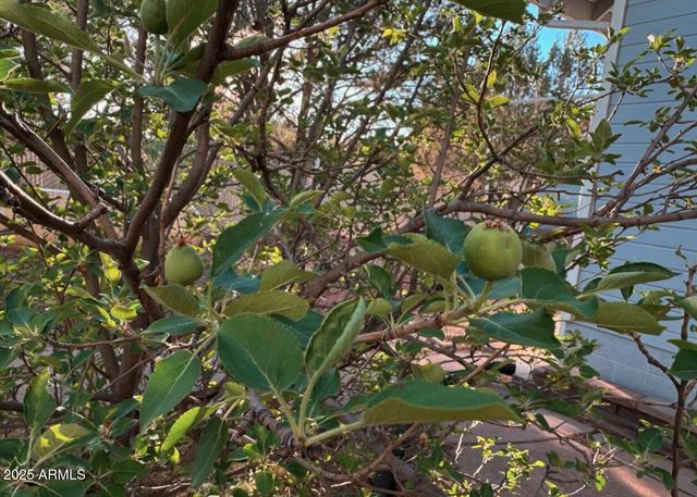 2404 W PALMER Drive, Payson, AZ 85541