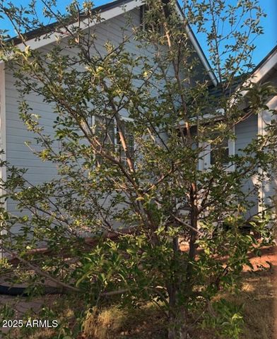 2404 W PALMER Drive, Payson, AZ 85541