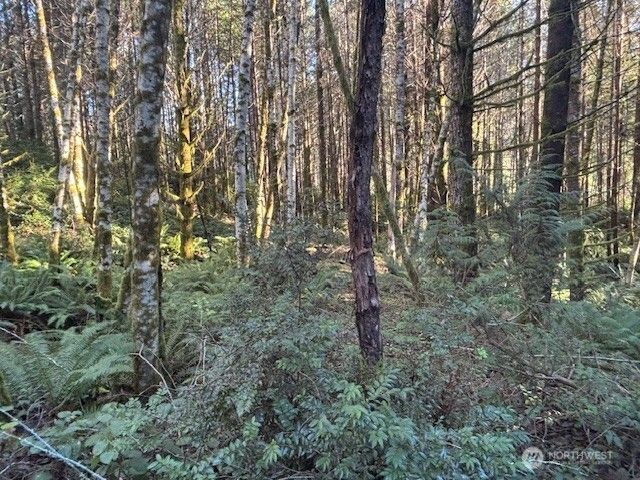 51 E Carols Place, Belfair, WA 98528