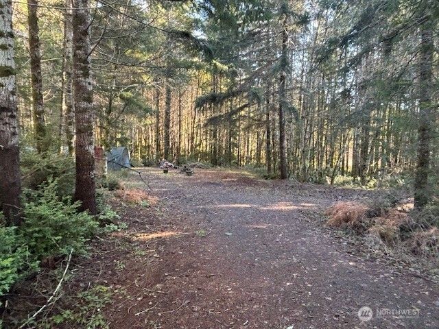 51 E Carols Place, Belfair, WA 98528