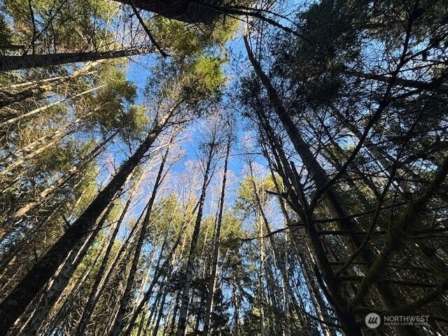 51 E Carols Place, Belfair, WA 98528