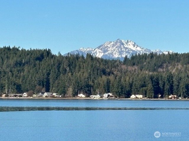 51 E Carols Place, Belfair, WA 98528