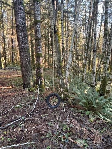 51 E Carols Place, Belfair, WA 98528