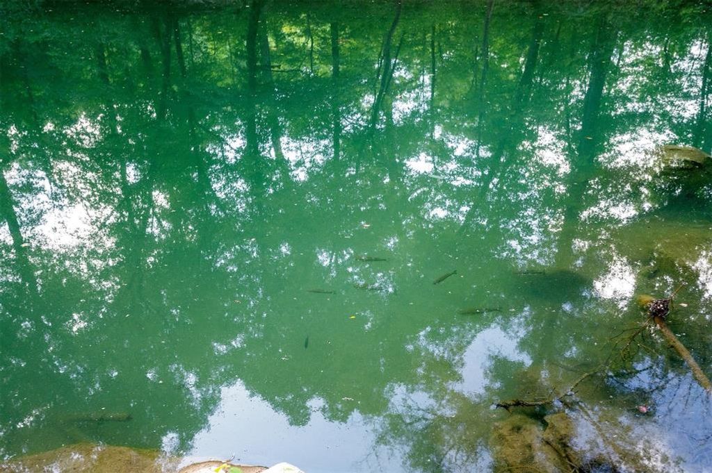 Image 13 of property listing at 5757 Pine Seed Trail, Broken Bow, OK 74728