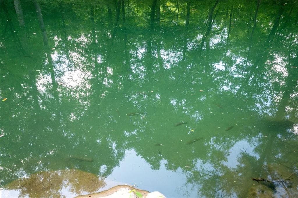 Image 14 of property listing at 5757 Pine Seed Trail, Broken Bow, OK 74728