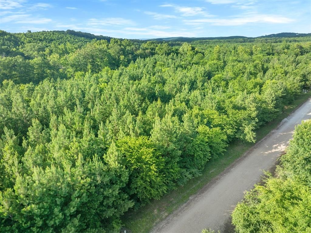 Image 3 of property listing at 5757 Pine Seed Trail, Broken Bow, OK 74728