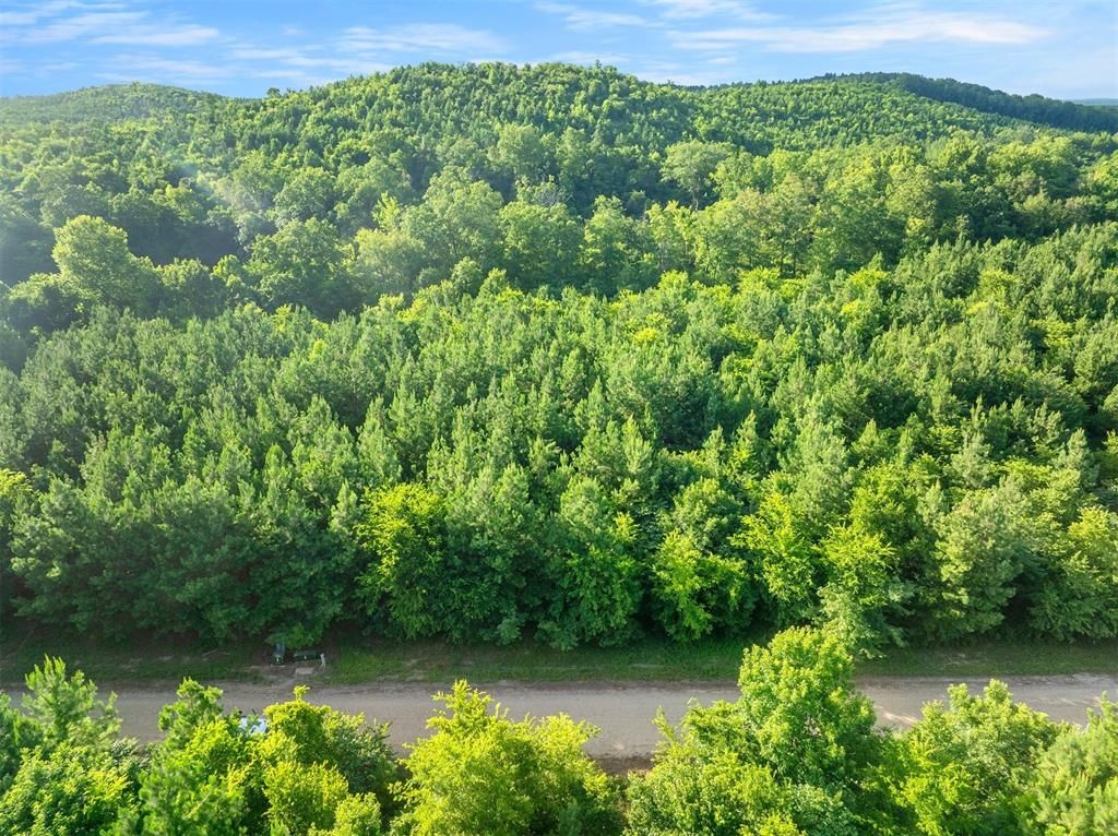 Image 4 of property listing at 5757 Pine Seed Trail, Broken Bow, OK 74728