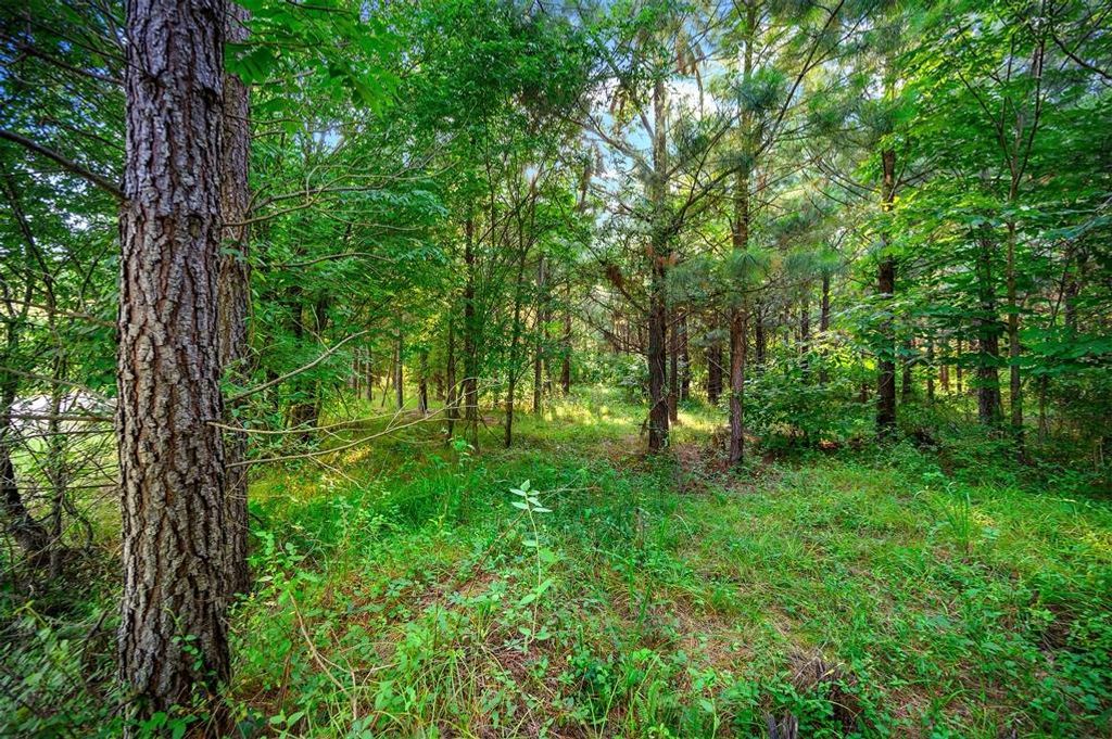 Image 8 of property listing at 5757 Pine Seed Trail, Broken Bow, OK 74728