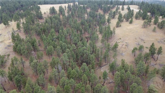 Lot 64 Pine Crest ROAD, Columbus, MT 59019