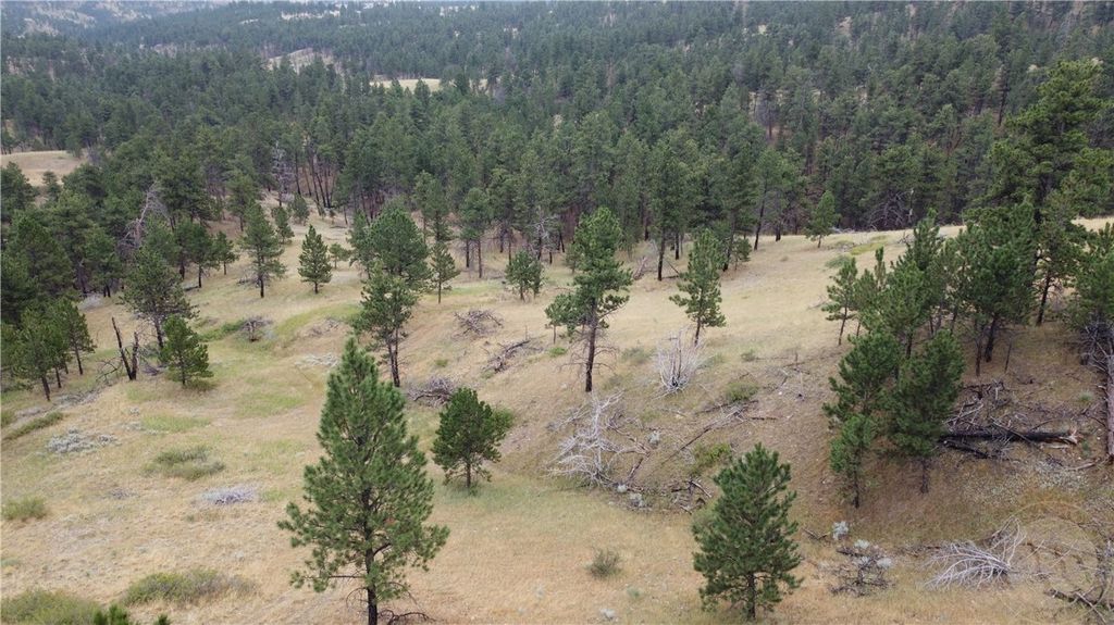 Lot 64 Pine Crest ROAD, Columbus, MT 59019
