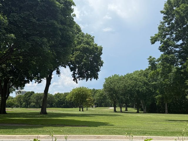 6712 S Ridgeland Avenue 3A, Chicago, IL 60649