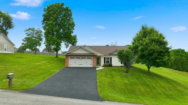 271 Cambridge Grove Way, Jonesborough, TN 37659