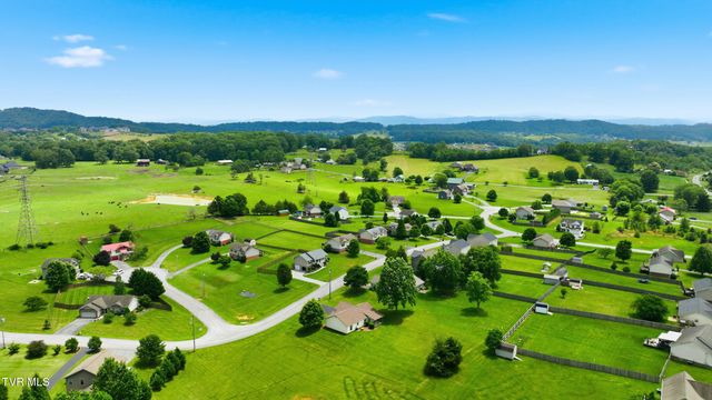 271 Cambridge Grove Way, Jonesborough, TN 37659