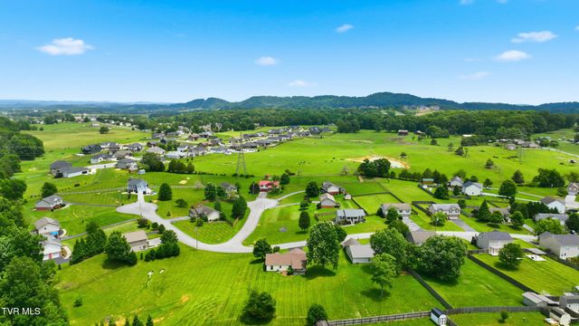 271 Cambridge Grove Way, Jonesborough, TN 37659