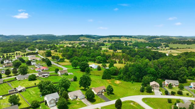 271 Cambridge Grove Way, Jonesborough, TN 37659