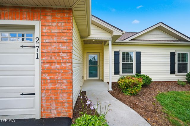 271 Cambridge Grove Way, Jonesborough, TN 37659