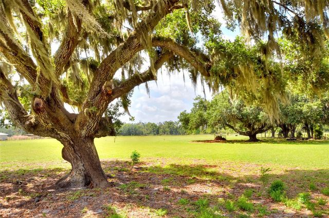 0 DORMAN ROAD, Lithia, FL 33547