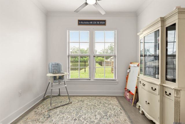 28026 Olympia Ln, Denham Springs, LA 70726