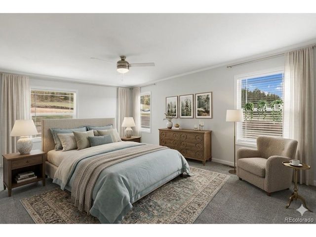 740 Crystal Peak Road, Florissant, CO 80816