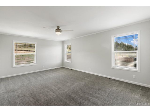740 Crystal Peak Road, Florissant, CO 80816