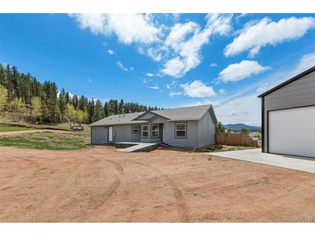 740 Crystal Peak Road, Florissant, CO 80816
