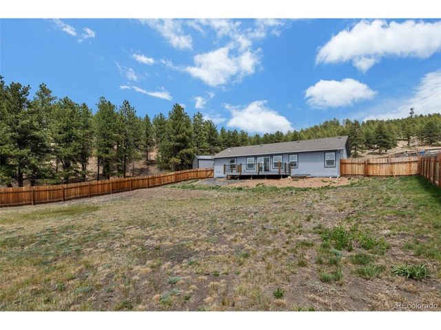 740 Crystal Peak Road, Florissant, CO 80816