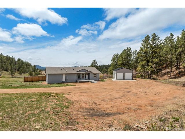 740 Crystal Peak Road, Florissant, CO 80816