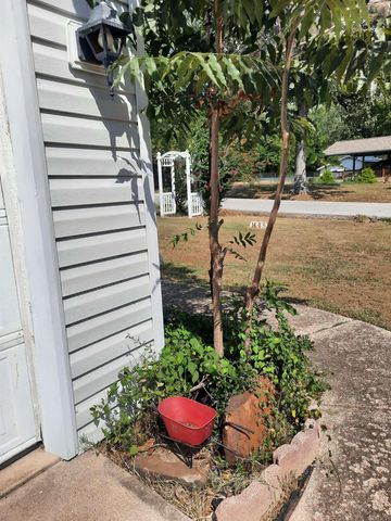 701 Clarence Street, Mountain View, AR 72560