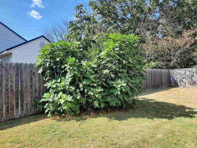 701 Clarence Street, Mountain View, AR 72560