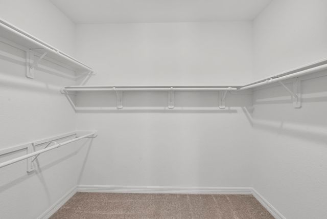 21615 Foxes Trove Trail, Magnolia, TX 77355